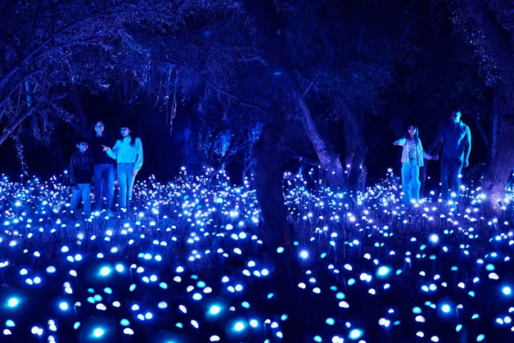 Radar Ticktlan | FEBRERO 2026